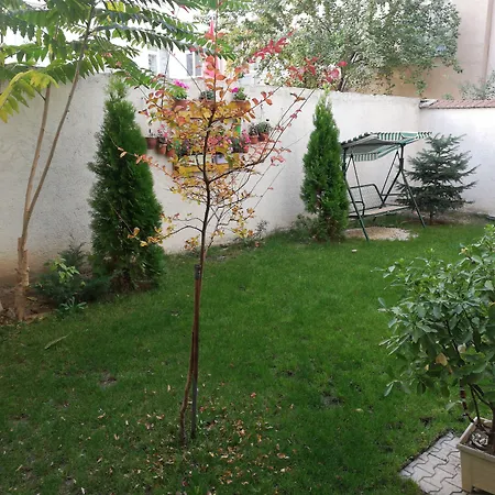 Paris * エスキシェヒル