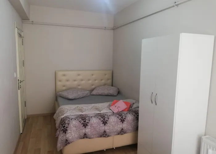 Paris 埃斯基谢希尔